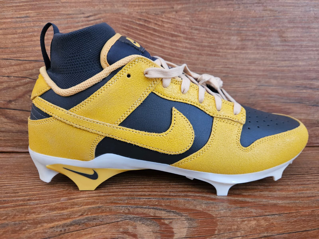 Nike Alpha Menace 4 Dunk SE Iowa Football Cleats