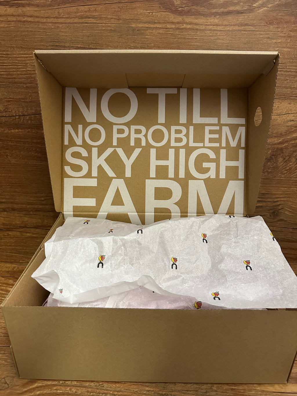 Sky High Farm Goods x On Cloud 6 Aster Begonia