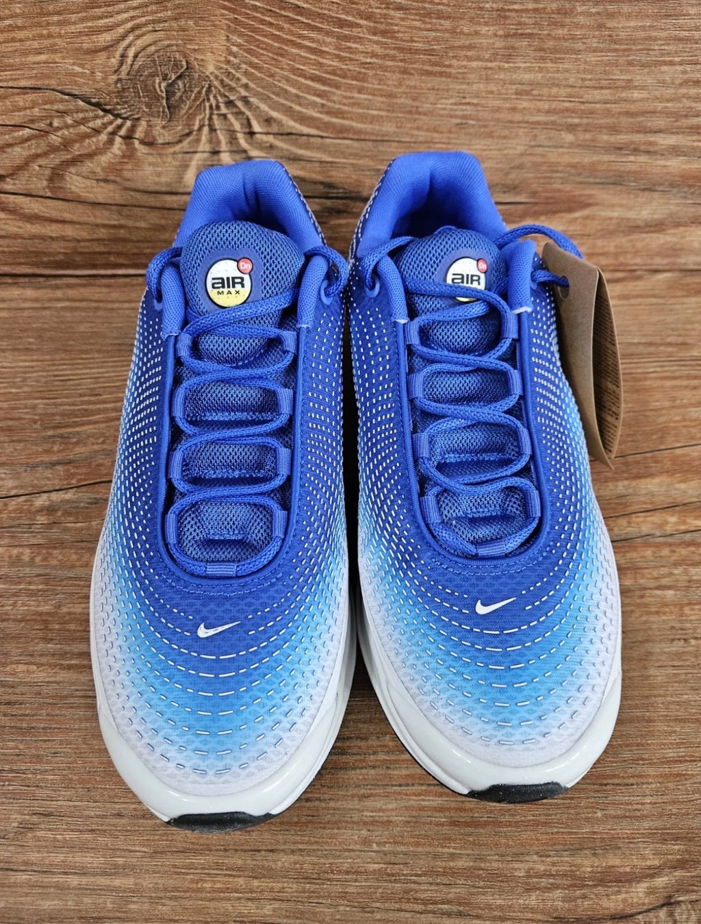 Nike Air Max DN "Blue/Vibrant Yellow" HF5531-400